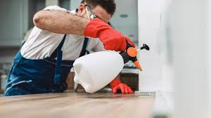 Best Termite Inspection and Treatment  in Sparks, TX